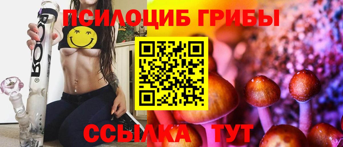 Галлюциногенные грибы Psilocybine cubensis  Верхняя Салда 