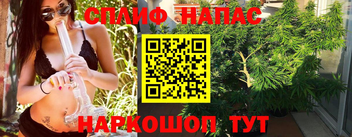 Бошки Шишки ГИДРОПОН Верхняя Салда
